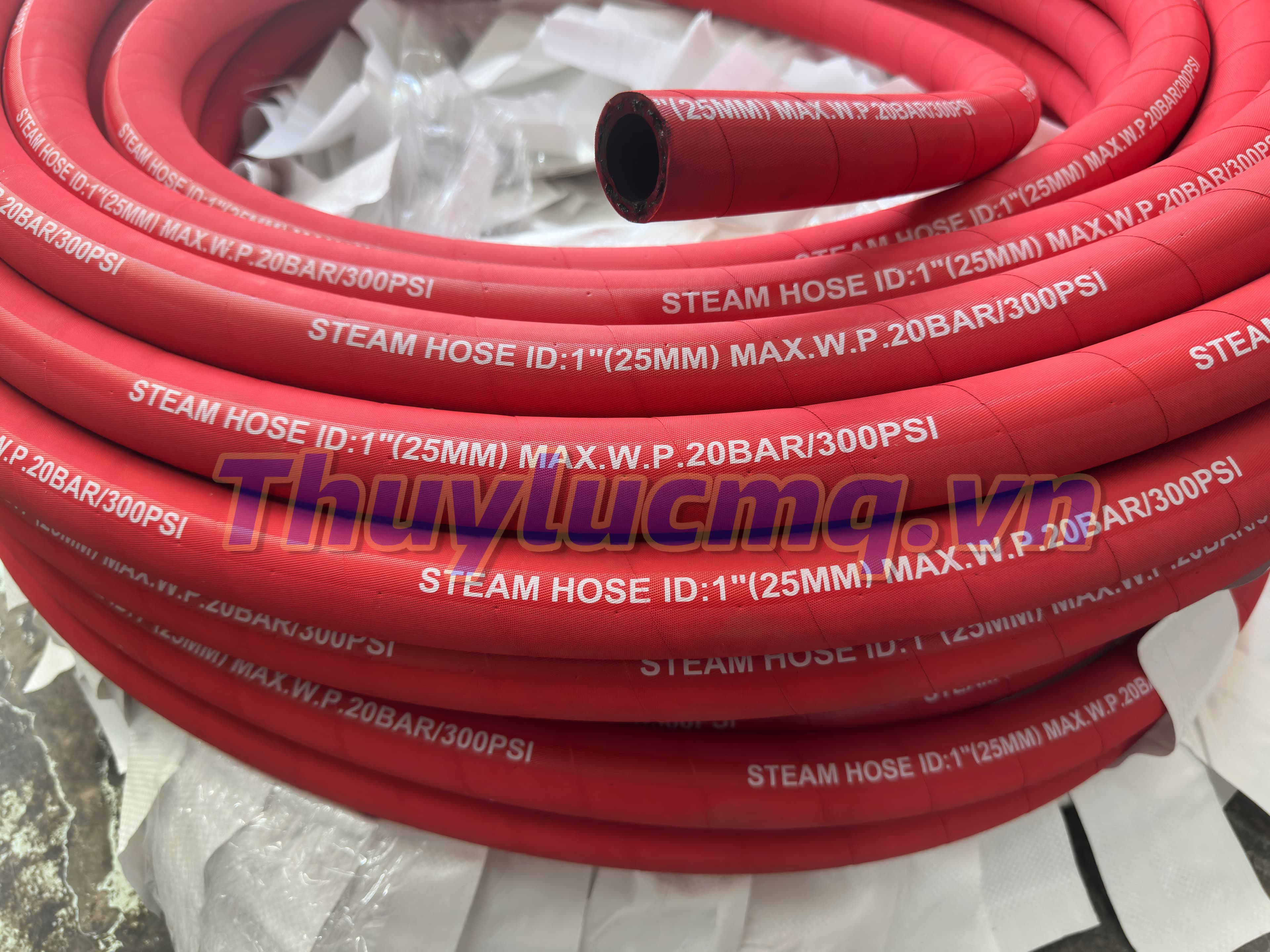 Ống chịu nhiệt Steam Hose 1 inch (DN25) – 20 Bar